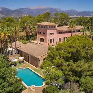 Virrey , Inca (Mallorca) Spain